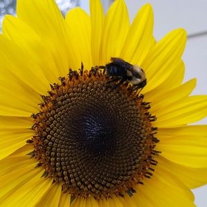 Meet your Posher, Kristine